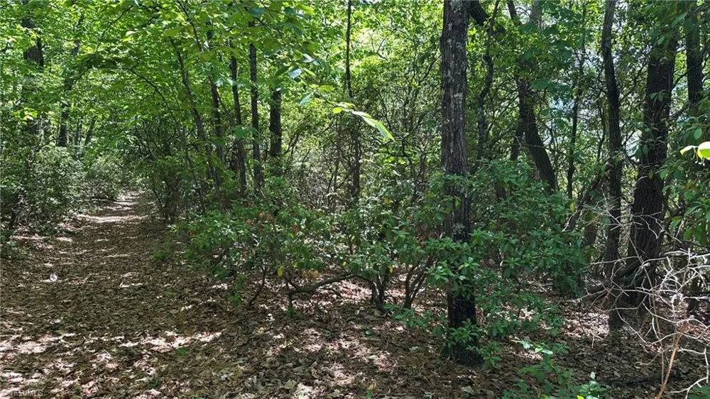 T23 Widow Mountain Drive Hays, NC 28635