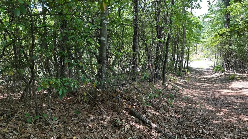 T23 Widow Mountain Drive Hays, NC 28635