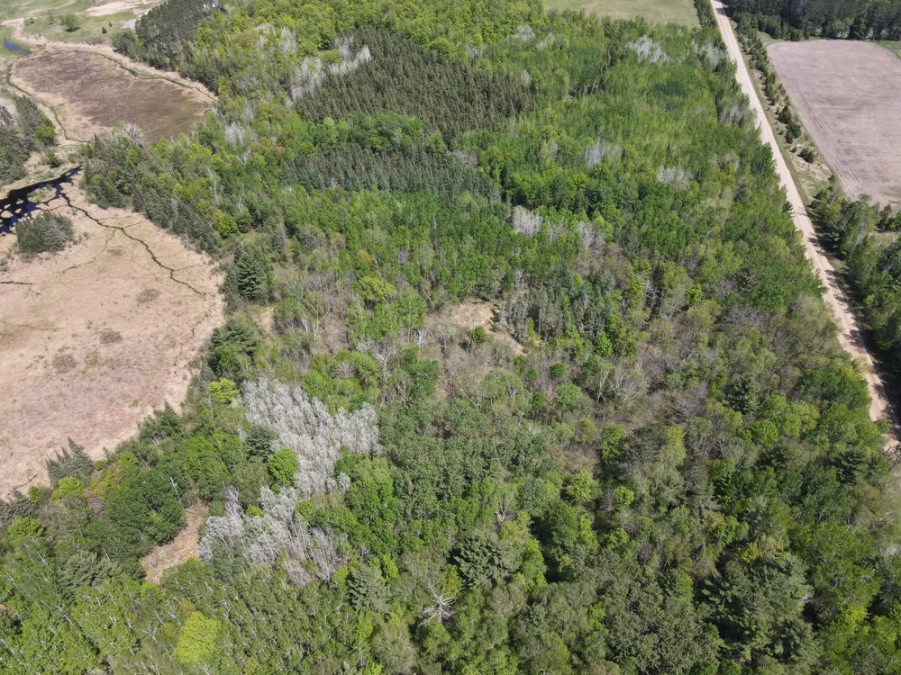 XXX Co Rd 67 Grand Rapids, MN 55744