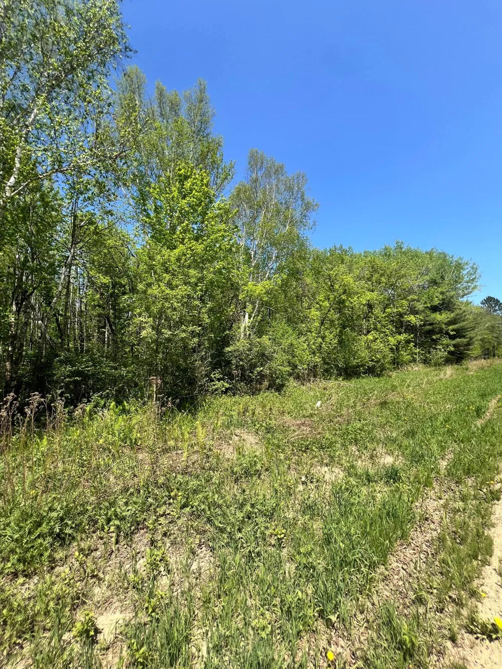 XXX Co Rd 67 Grand Rapids, MN 55744