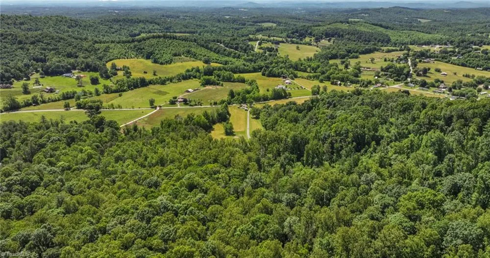TBD Shingle Gap Road Purlear, NC 28665