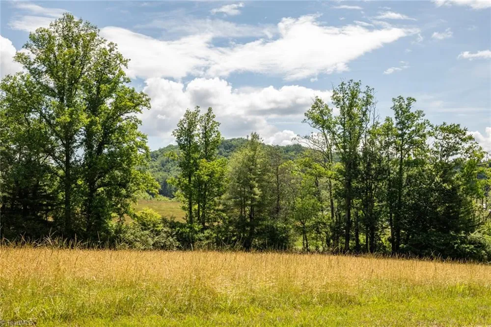 TBD Shingle Gap Road Purlear, NC 28665
