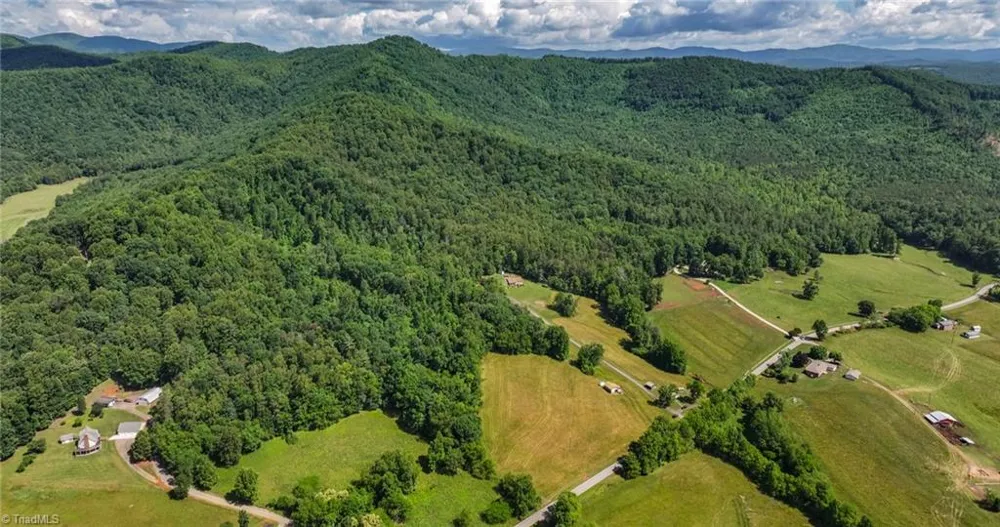 TBD Shingle Gap Road Purlear, NC 28665