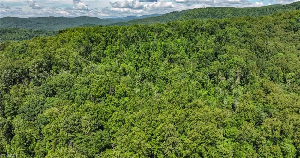TBD Shingle Gap Road Purlear, NC 28665