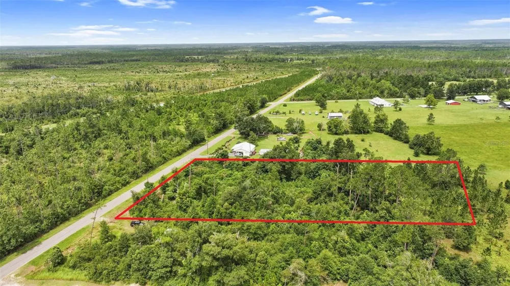 0 OLD PANAMA HIGHWAY Wewahitchka, FL 32465