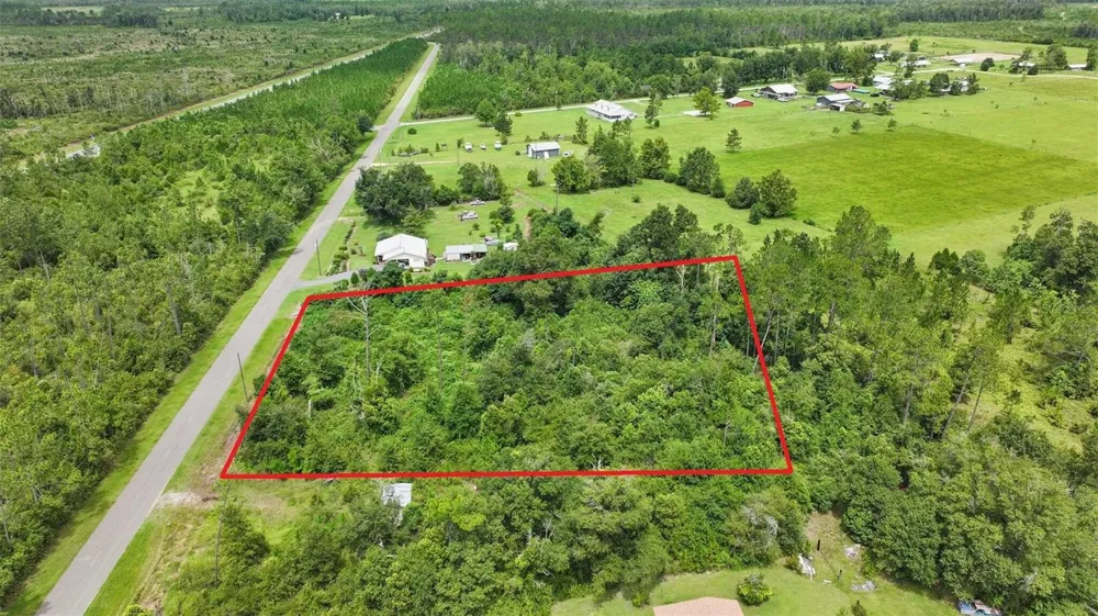 0 OLD PANAMA HIGHWAY Wewahitchka, FL 32465