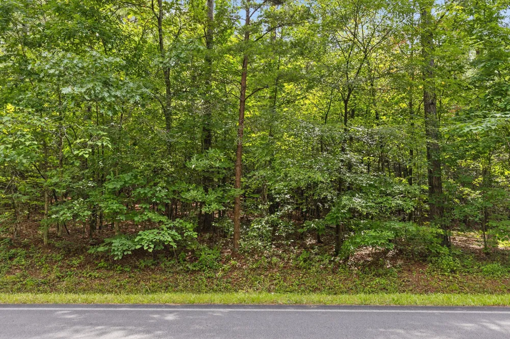 42 Conniston Road Chatsworth, GA 30705