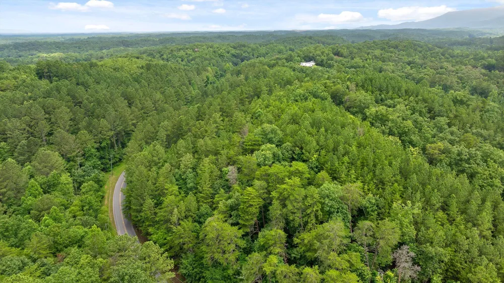 42 Conniston Road Chatsworth, GA 30705