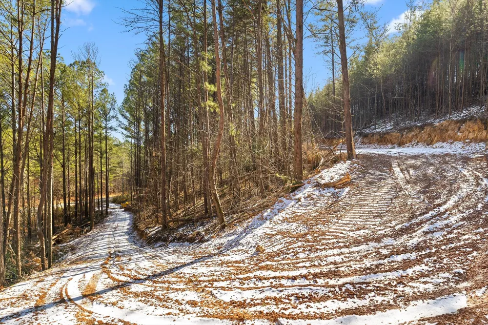 924 Old Sawmill Road Chatsworth, GA 30705