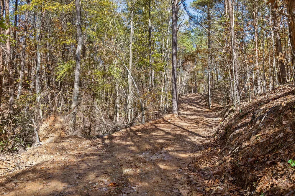 922 Conniston Road Chatsworth, GA 30705