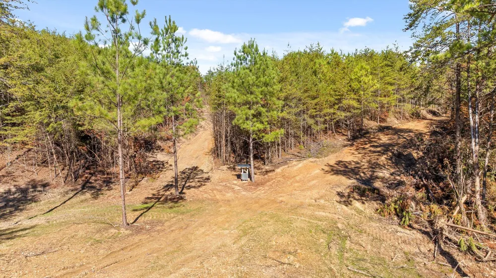 922 Conniston Road Chatsworth, GA 30705