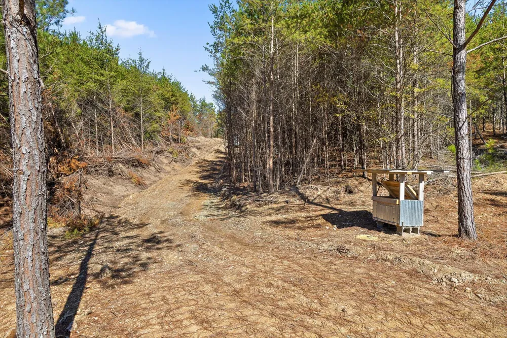 922 Conniston Road Chatsworth, GA 30705