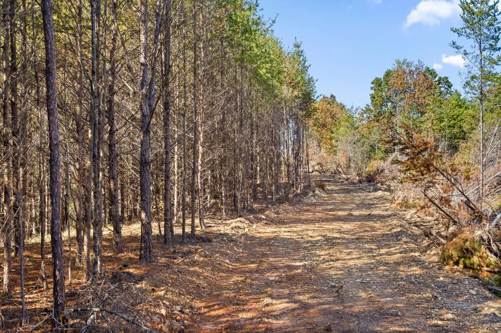 921 Conniston Road Chatsworth, GA 30705