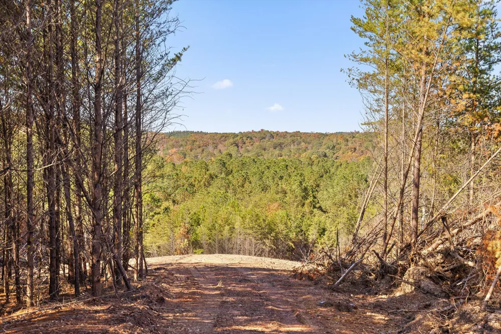 921 Conniston Road Chatsworth, GA 30705