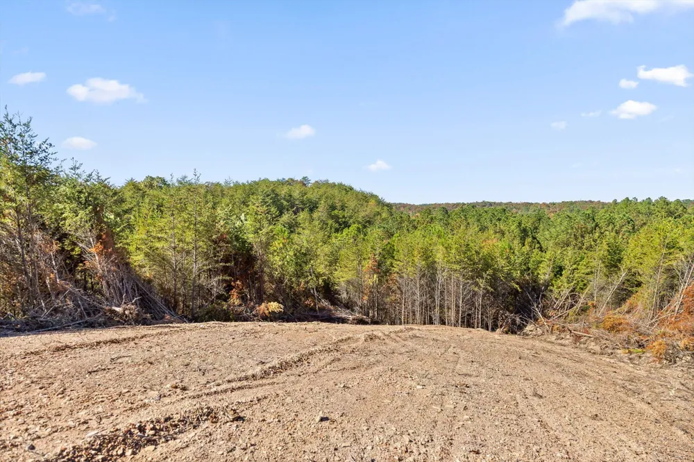 921 Conniston Road Chatsworth, GA 30705