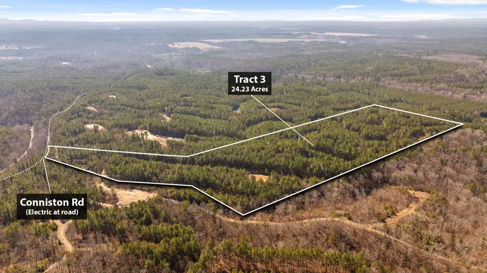 3 Conniston Road Chatsworth, GA 30705