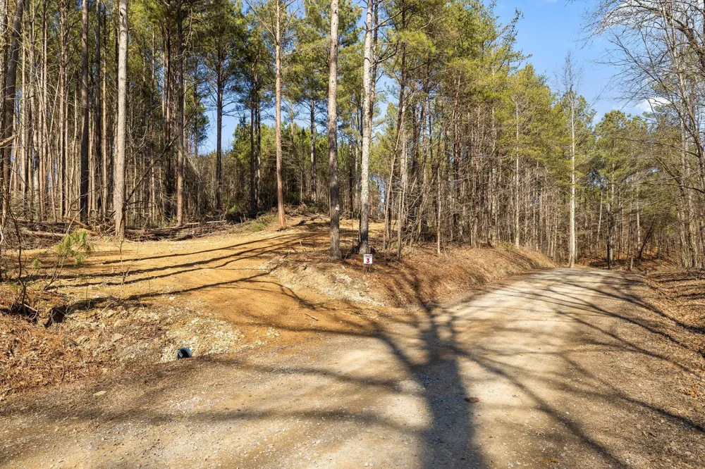 3 Conniston Road Chatsworth, GA 30705