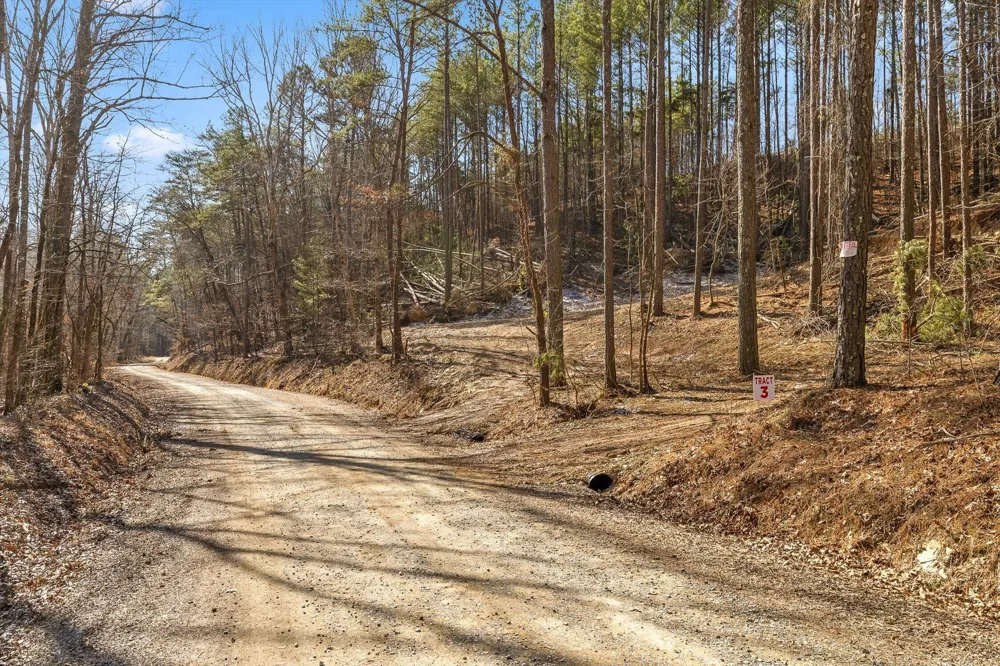 3 Conniston Road Chatsworth, GA 30705