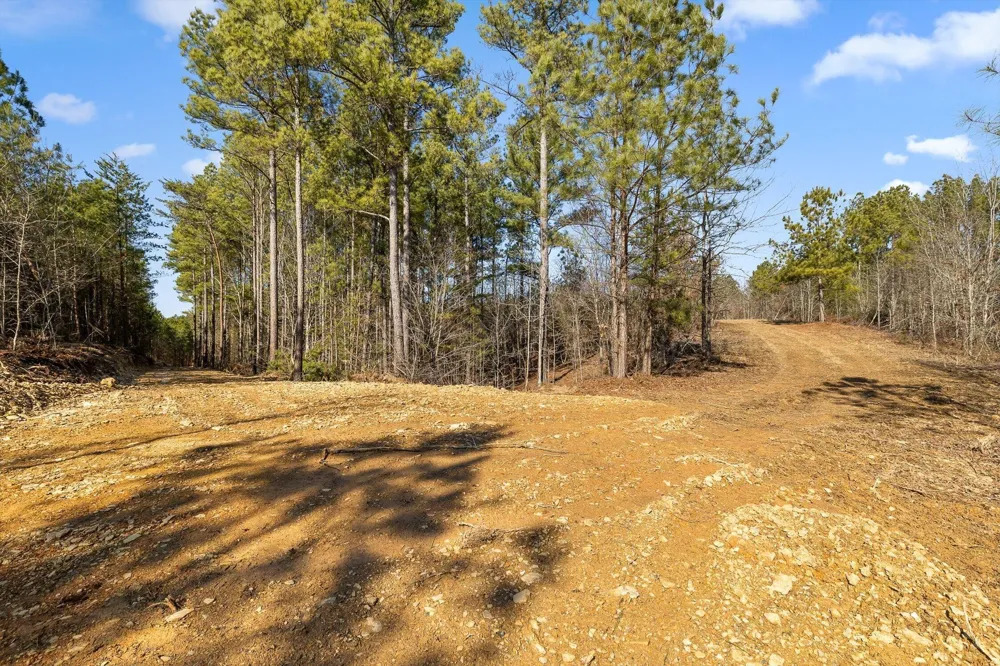 3 Conniston Road Chatsworth, GA 30705