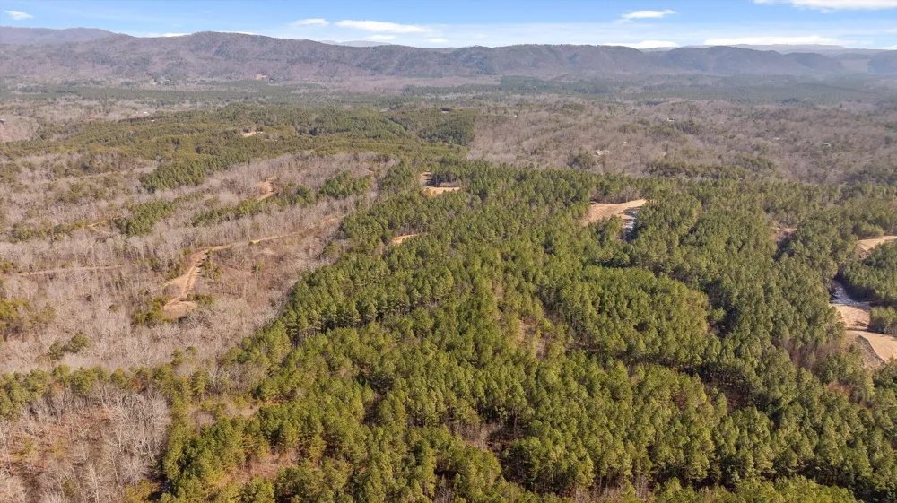 3 Conniston Road Chatsworth, GA 30705