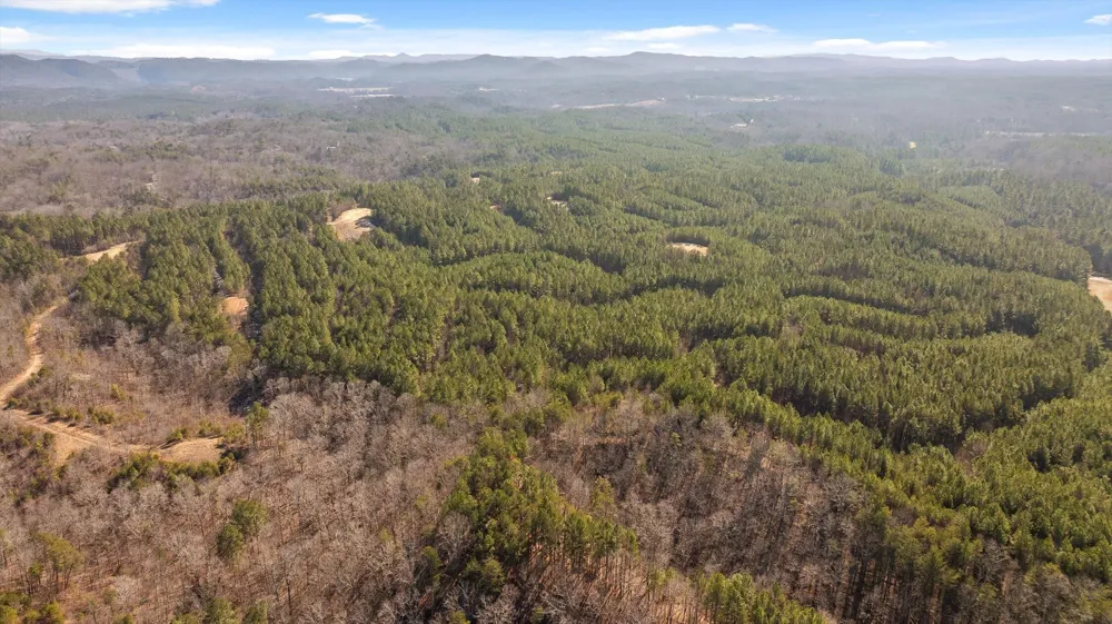 3 Conniston Road Chatsworth, GA 30705