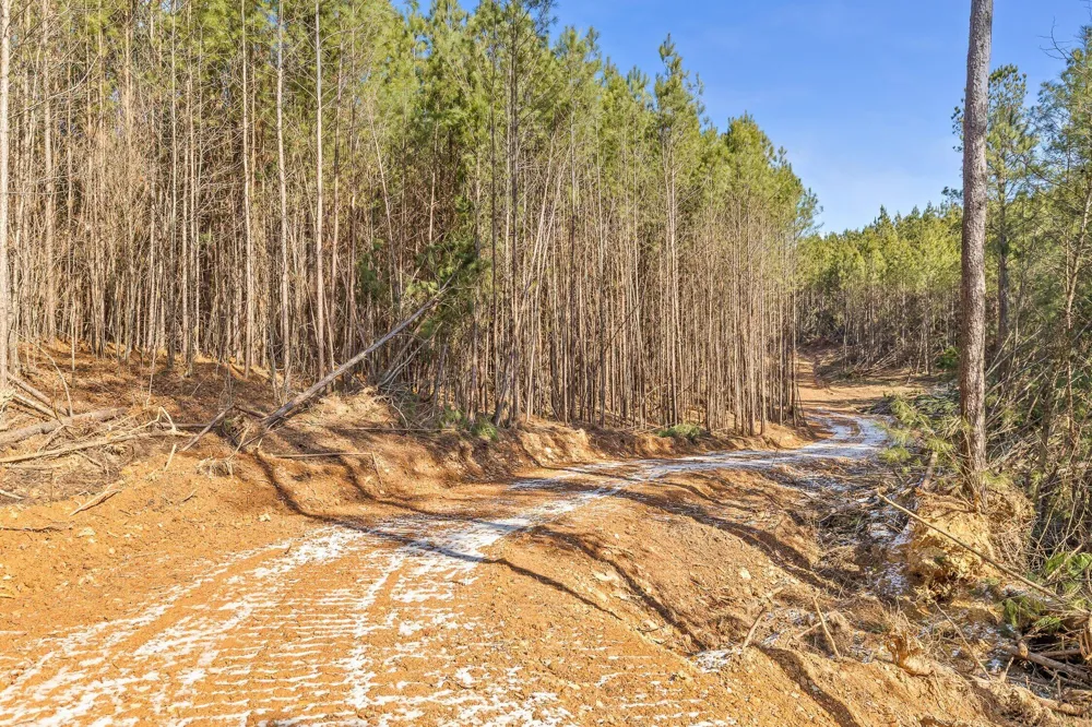 1 Conniston Road Chatsworth, GA 30705