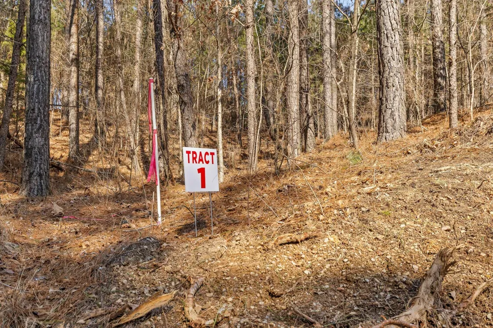 1 Conniston Road Chatsworth, GA 30705