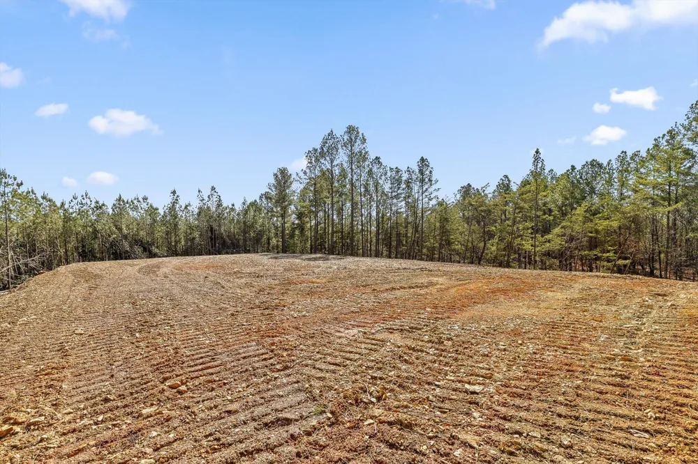 1 Conniston Road Chatsworth, GA 30705