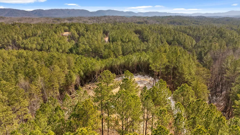 1 Conniston Road Chatsworth, GA 30705