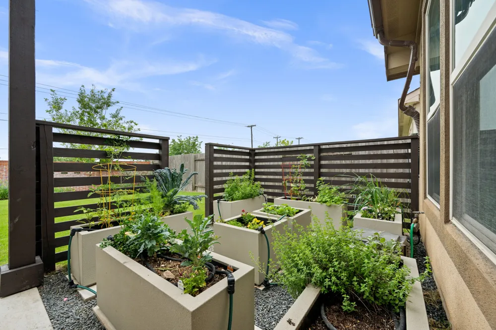 725 Blue Agave Lane Georgetown, TX 78626