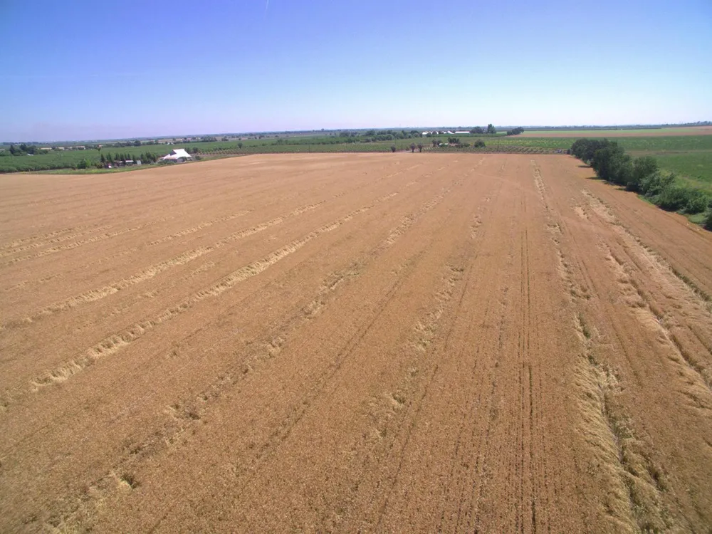 County Road 86a Esparto, CA 95627