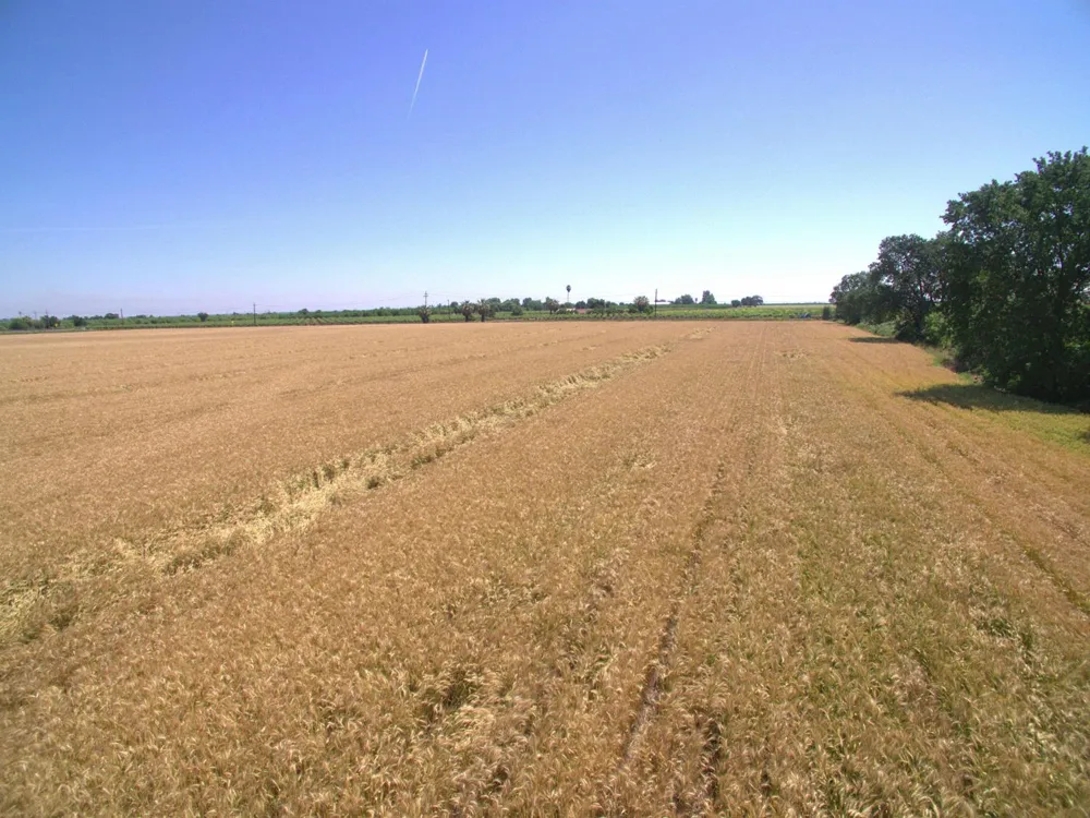 County Road 86a Esparto, CA 95627