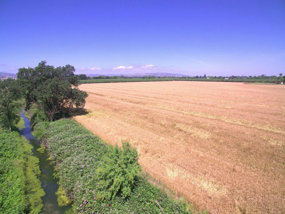 County Road 86a Esparto, CA 95627