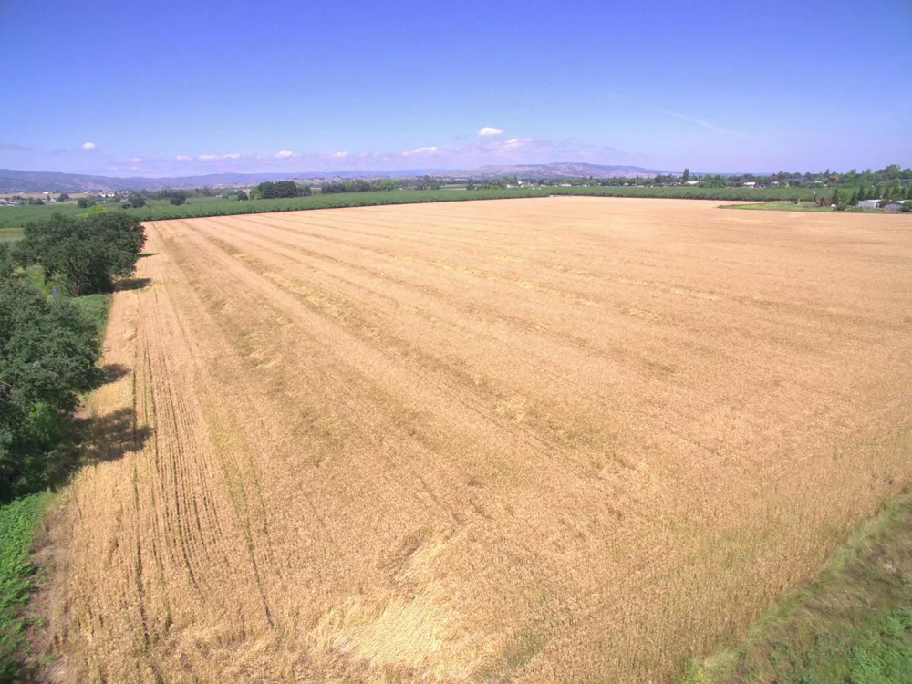 County Road 86a Esparto, CA 95627