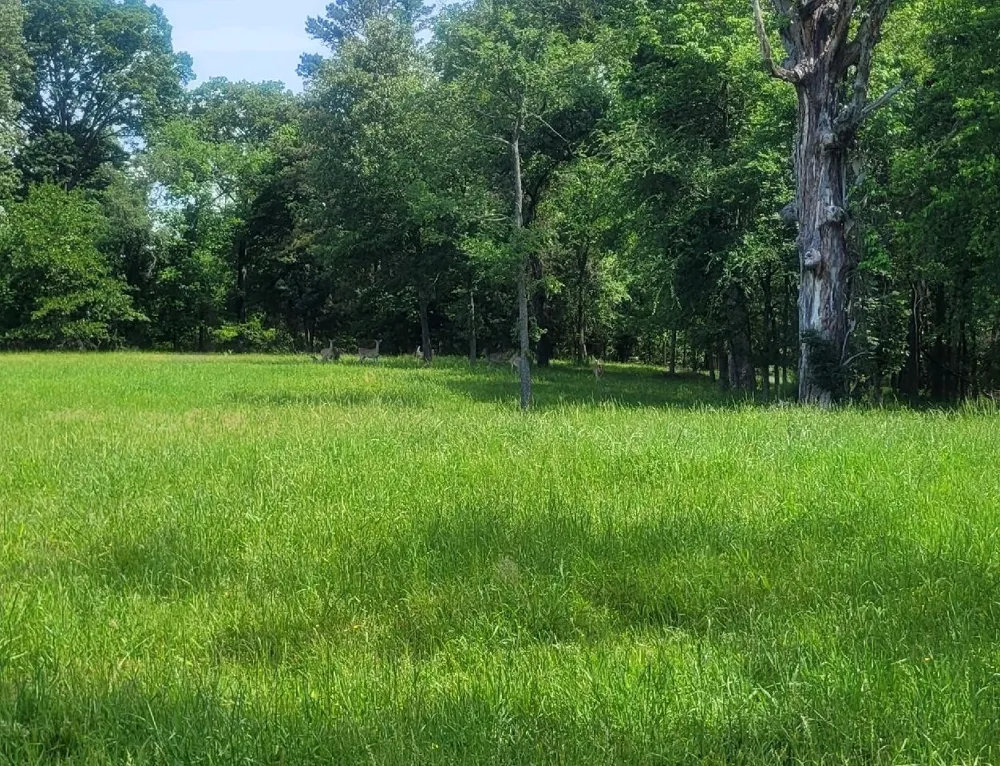 Pr 2712 Mt Pleasant, TX 75455