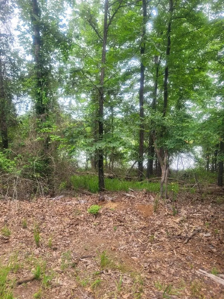Pr 2712 Mt Pleasant, TX 75455
