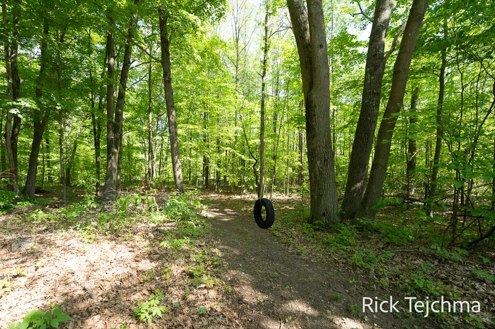 10345 Red Oak Ridge Reynolds Township, MI 49329