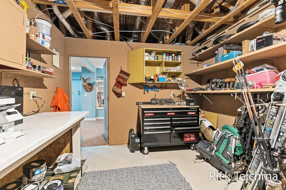 10345 Red Oak Ridge Reynolds Township, MI 49329