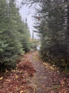 8016 Gunflint Trail Grand Marais, MN 55604