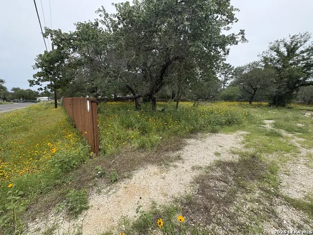 22847 Black Cherry Elmendorf, TX 78112