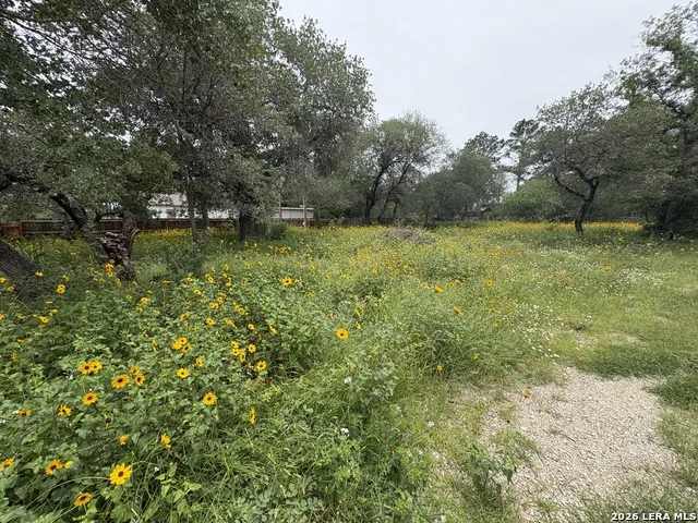 22847 Black Cherry Elmendorf, TX 78112