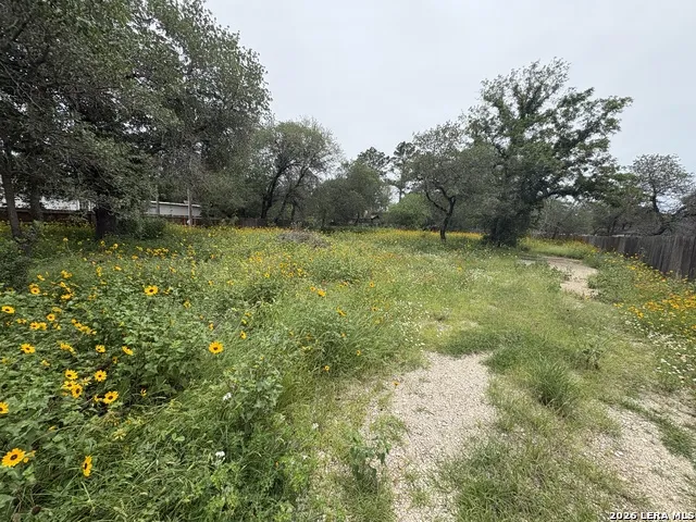 22847 Black Cherry Elmendorf, TX 78112