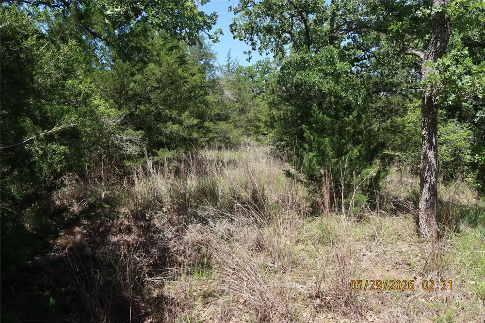 1071 Blacksmith Farm Lane Weimar, TX 78962