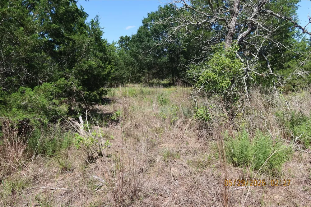 1071 Blacksmith Farm Lane Weimar, TX 78962