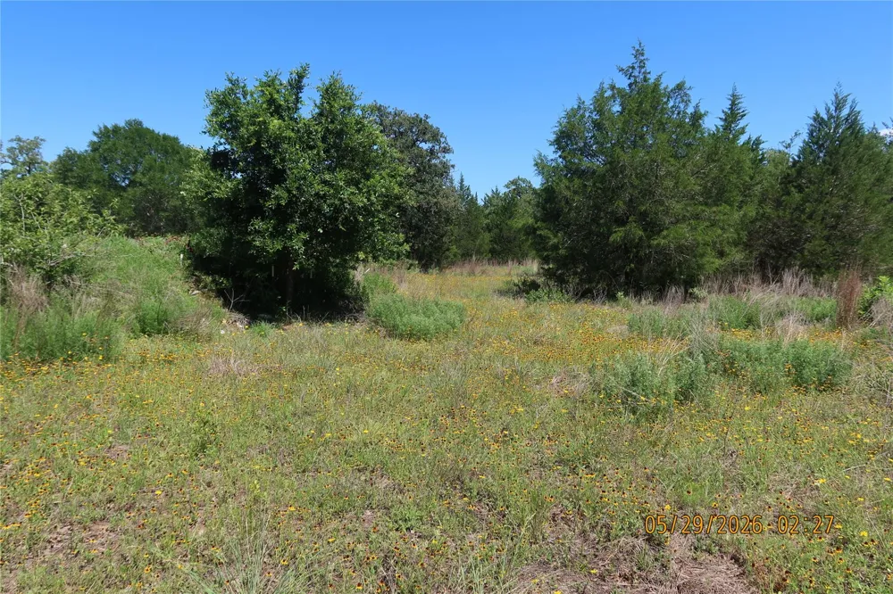 1071 Blacksmith Farm Lane Weimar, TX 78962