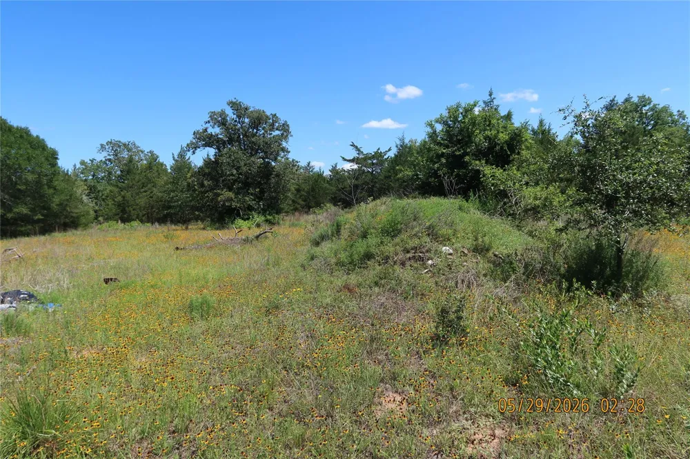 1071 Blacksmith Farm Lane Weimar, TX 78962