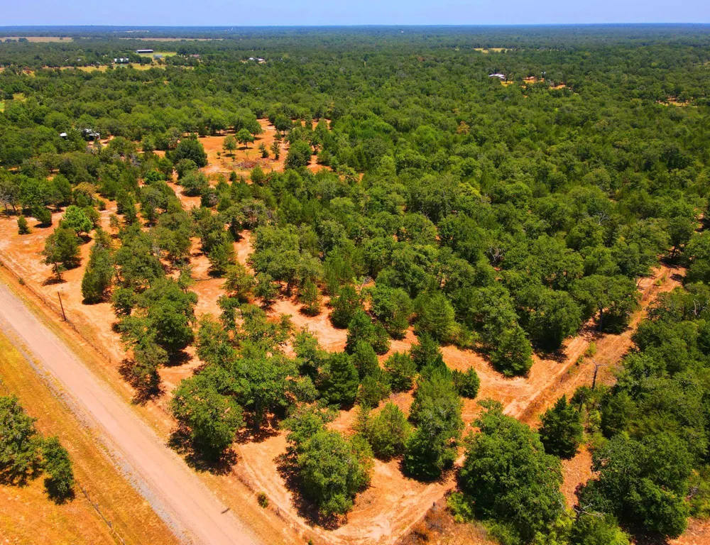 1071 Blacksmith Farm Lane Weimar, TX 78962