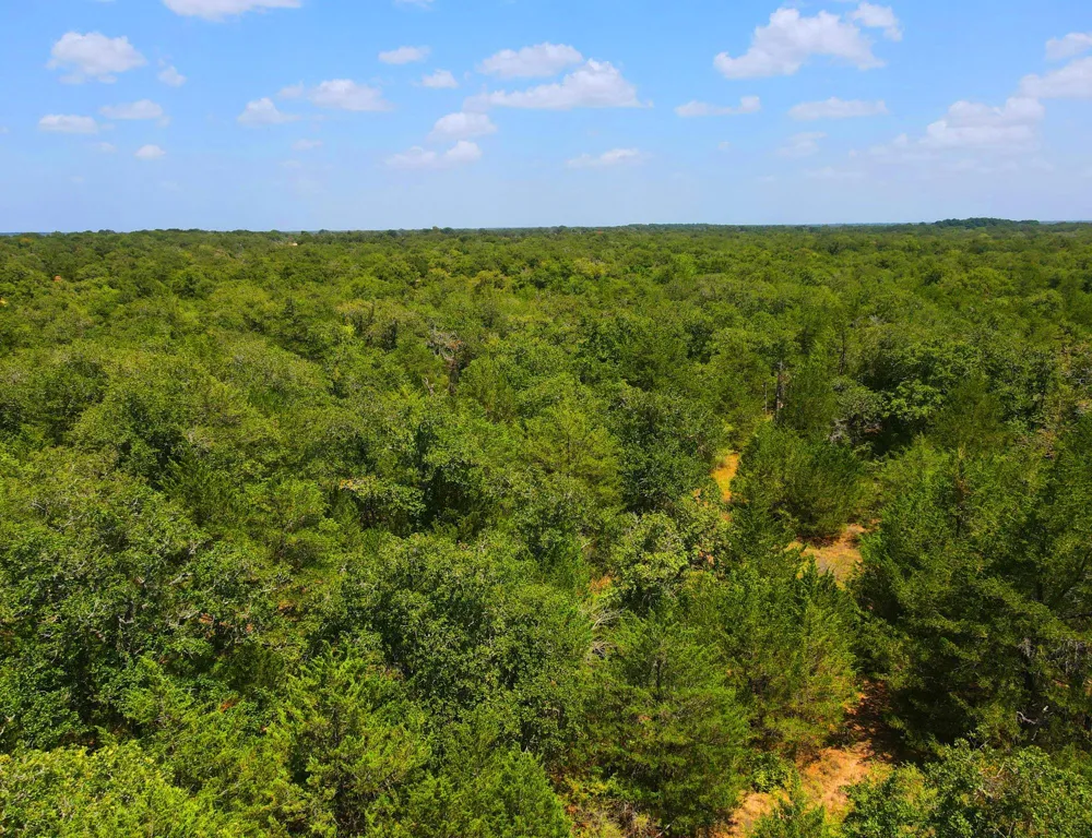 1071 Blacksmith Farm Lane Weimar, TX 78962