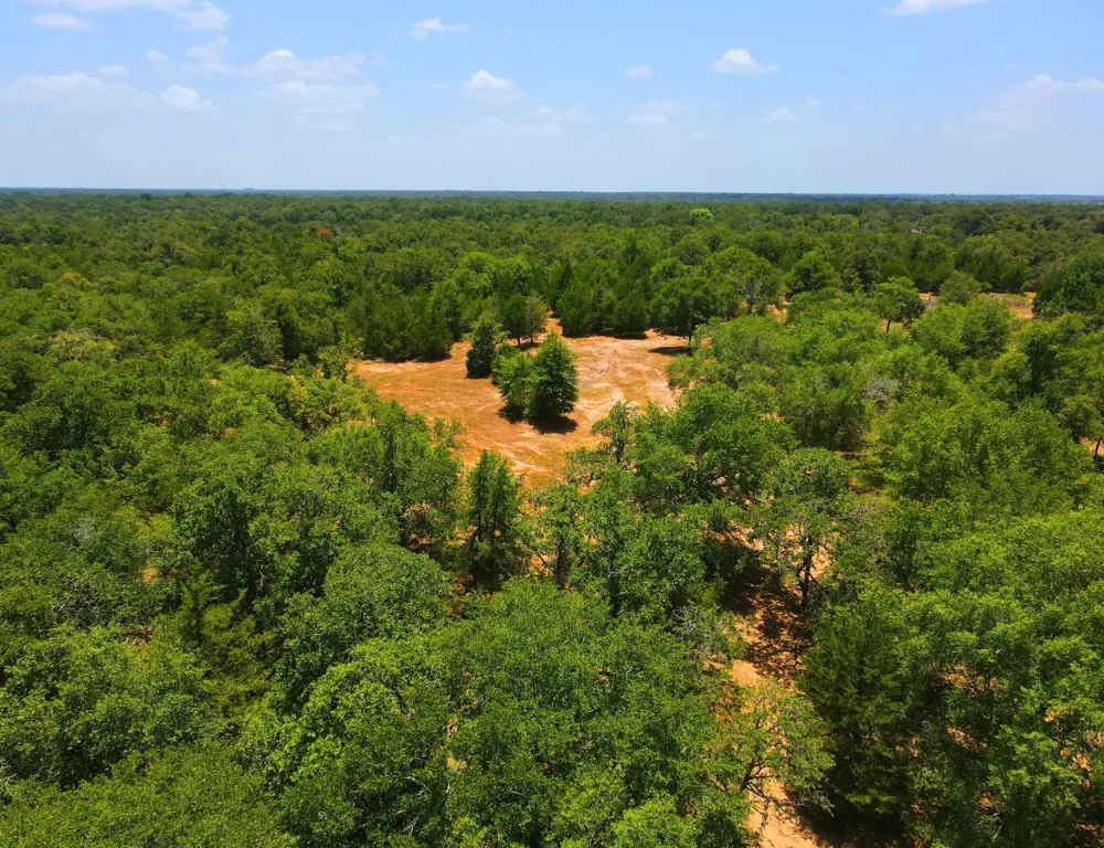 1071 Blacksmith Farm Lane Weimar, TX 78962