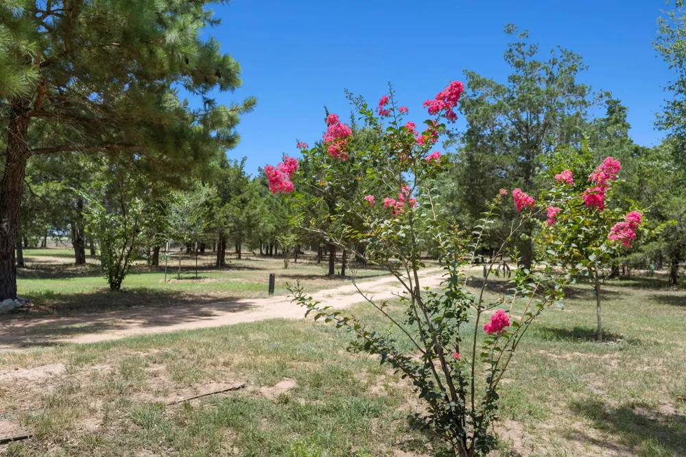 1071 Blacksmith Farm Lane Weimar, TX 78962